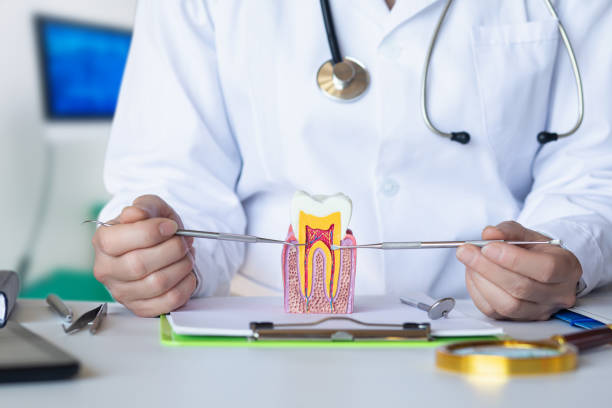Best Weekend Emergency Dentist in Graniteville, SC